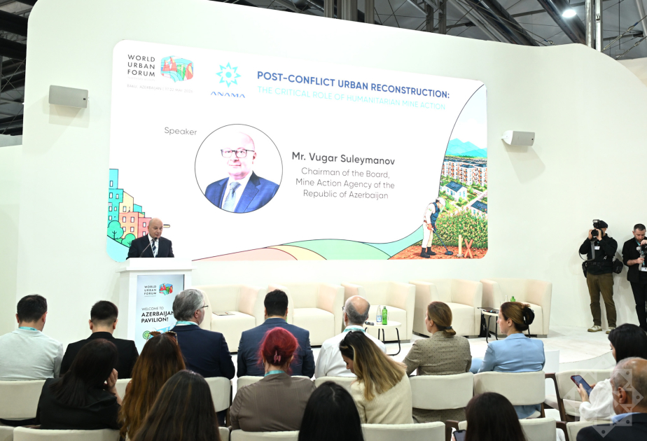 media-vuqar-suleymanov