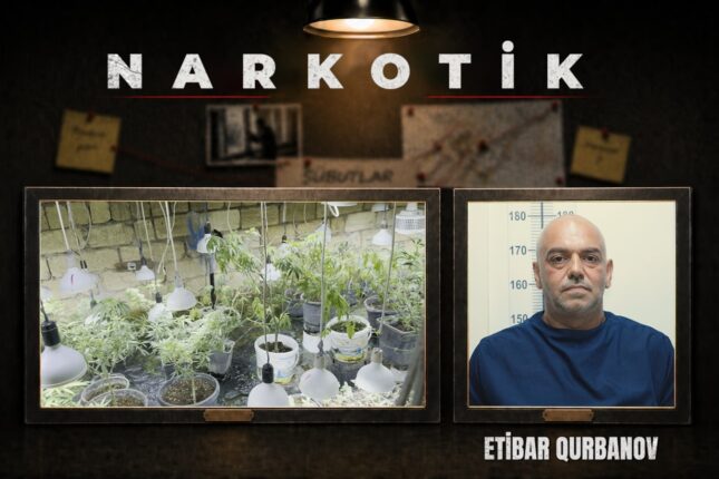 media-narkobunker