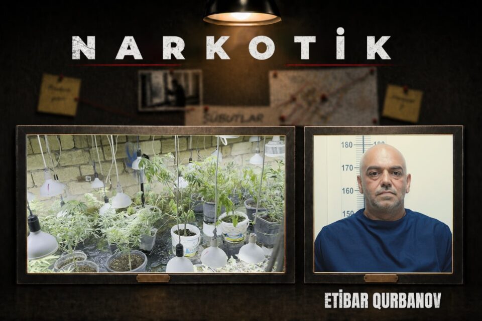 media-narkobunker