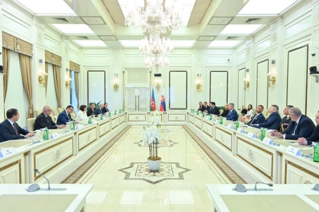 media-milli-meclis-slovakiya