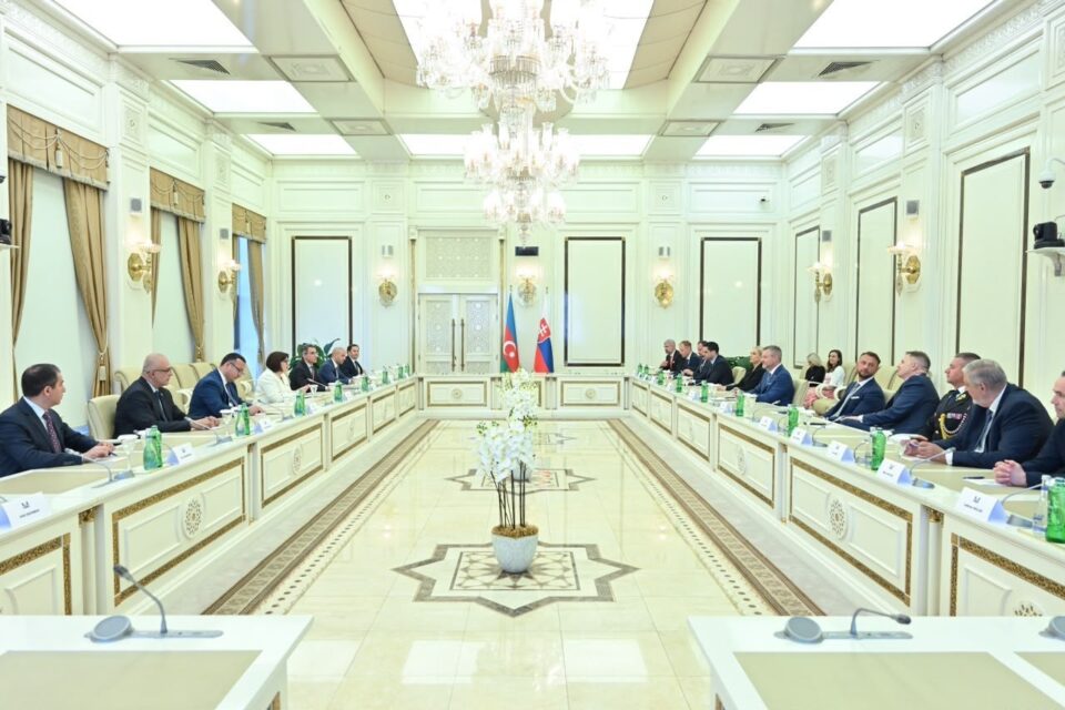 media-milli-meclis-slovakiya