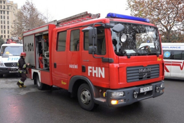 media-fhn