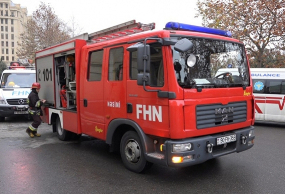 media-fhn