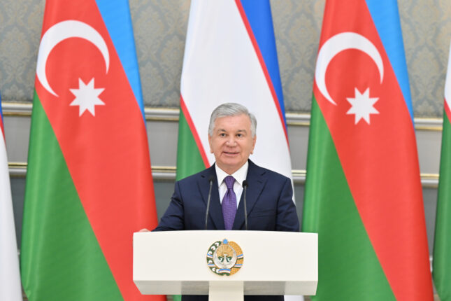 media-savkat-m