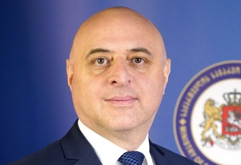 media-giorgi-zakarasvili