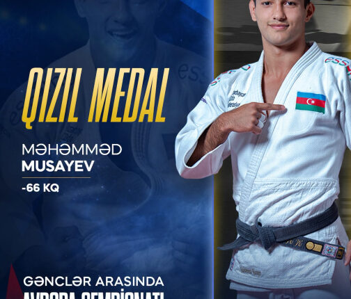 media-mehemmed-musayev